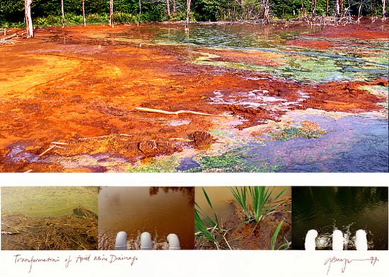 [2283319807_ddc26a36fe_o.jpg]