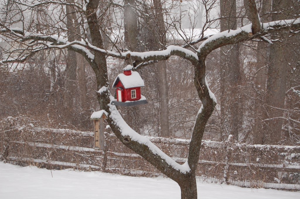 [Tiny+Red+Schoolhouse+in+Snow+by+MJ.JPG]