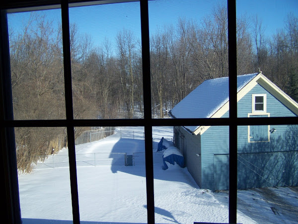Today's a Sunny Day!
