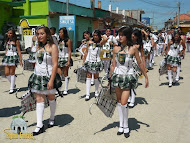 Desfile San Pedro 2010: