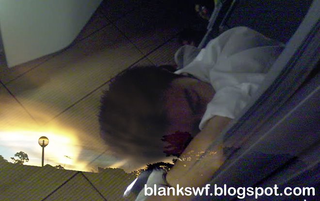 blankswf.blogspot.com