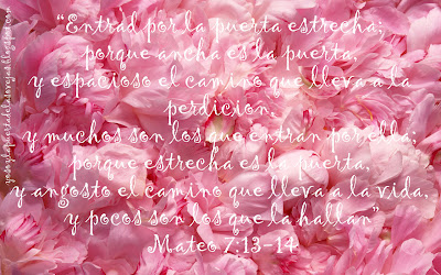 YO SOY EL BUEN PASTOR: Mateo 7:13-14