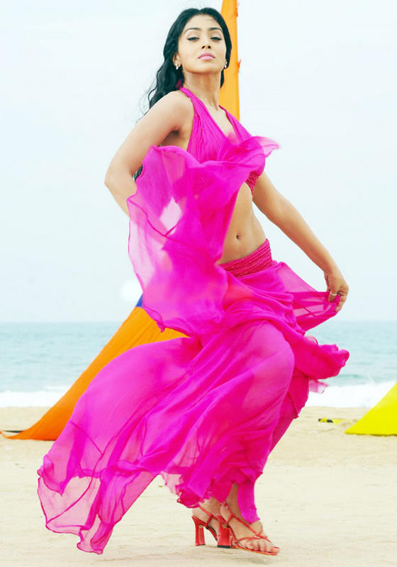Shriya in Pink Gown, Latest Pictures of Shriya Online