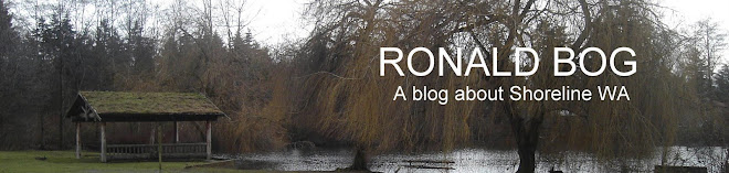 Ronald Bog blog - all about Shoreline Washington