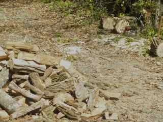 [WoodPile.jpg]