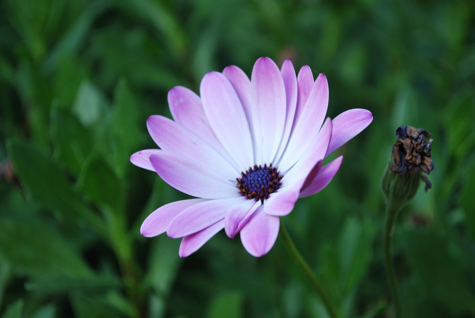 [DSC_0183.JPG]