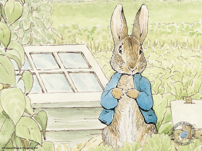 [peterrabbit_peter_800.jpg]