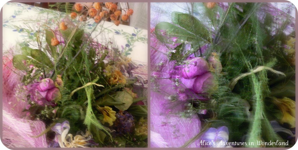 [Collage+di+Picnik5.jpg]