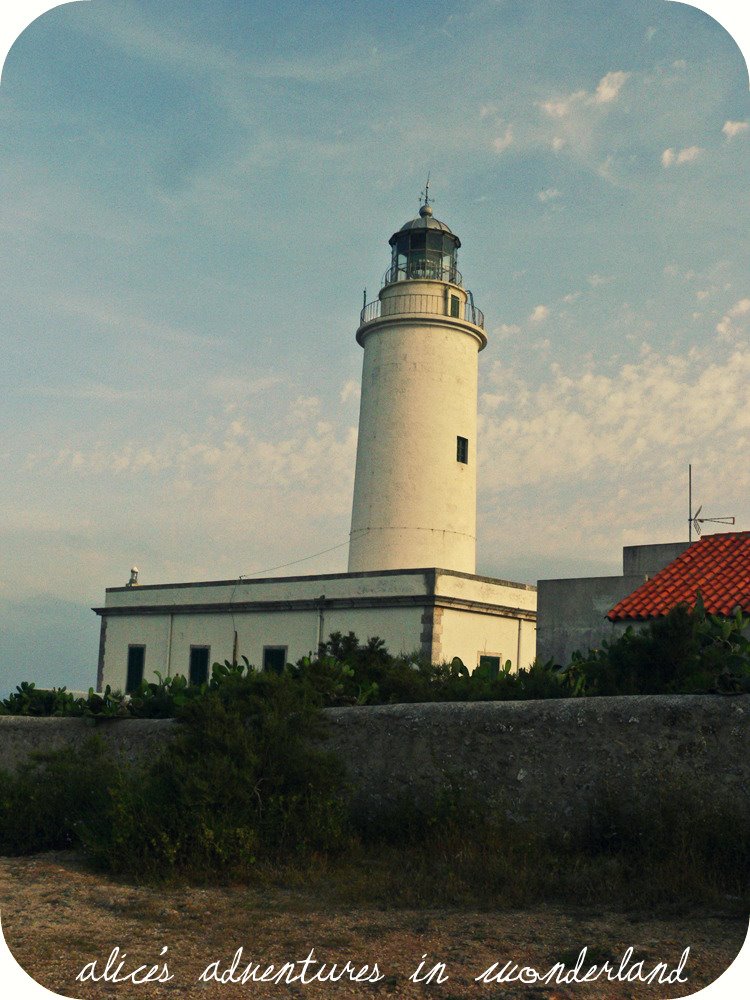 [LaMola_4.jpg]