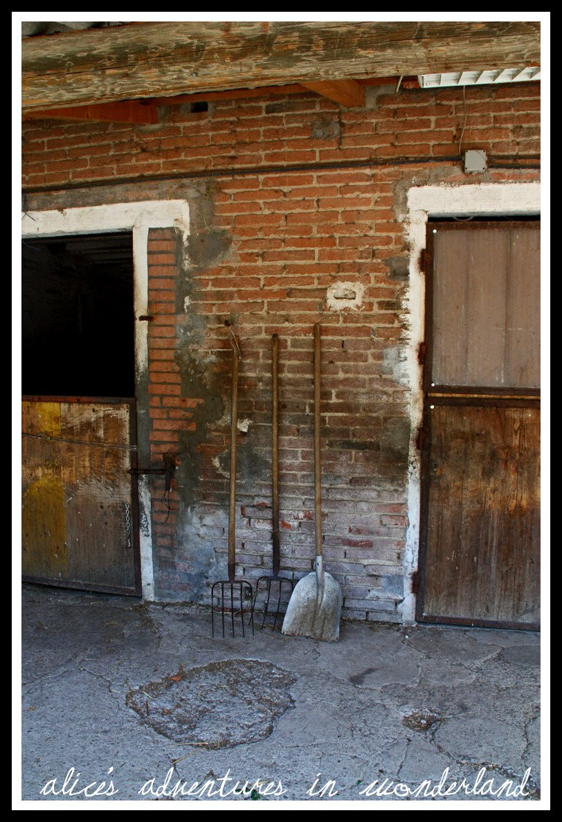 [IMG_0036.jpg]