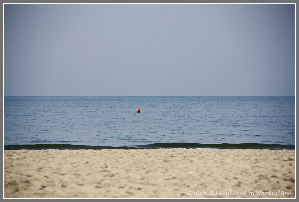 [IMG_0982.jpg]