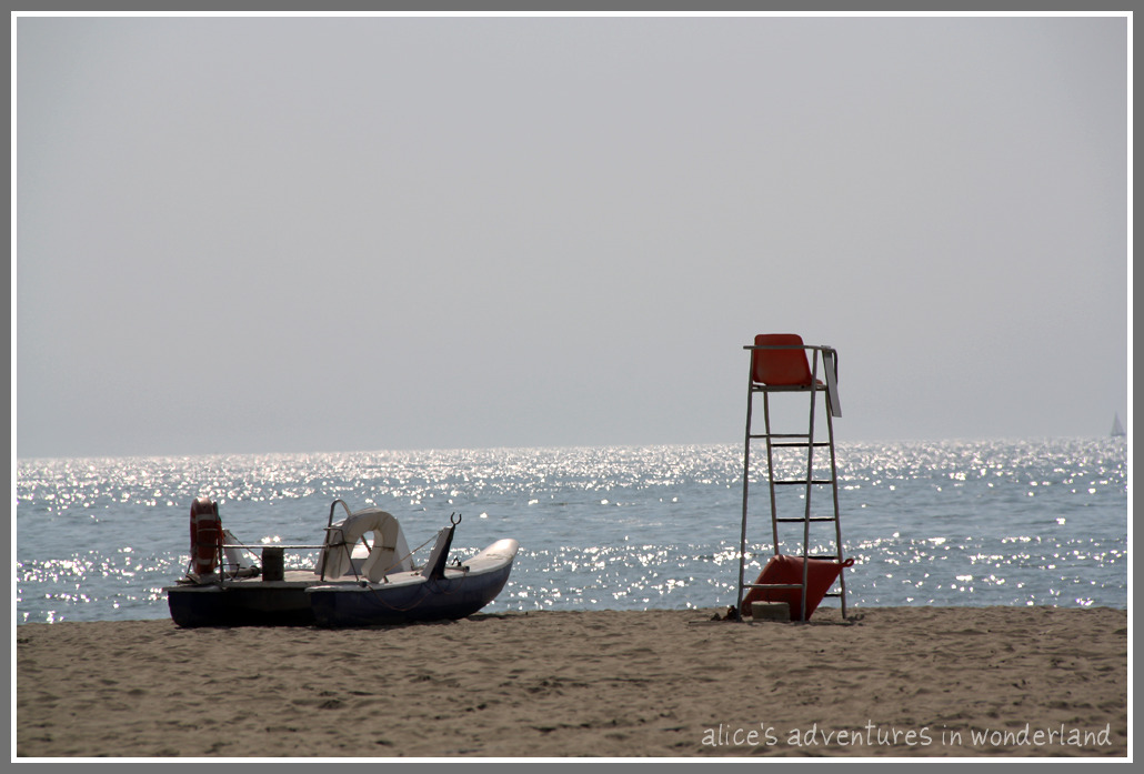 [IMG_0974_edited-1.jpg]