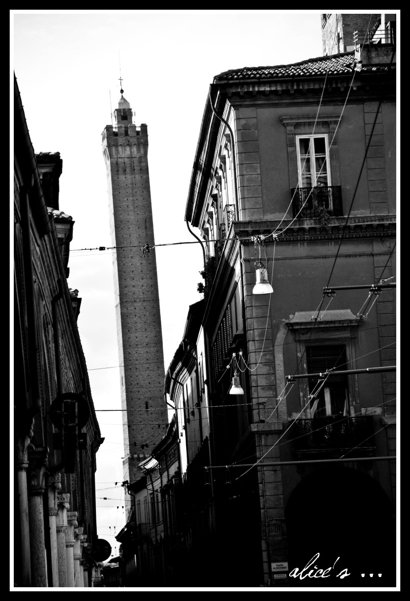 [Copia+di+IMG_1621bis.jpg]