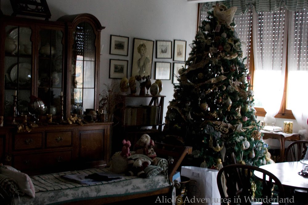 [IMG_3095+copy.jpg]