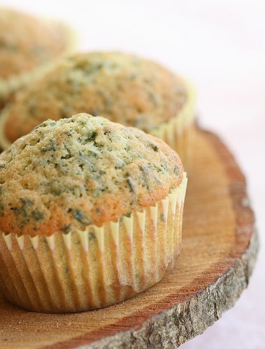 [GroundElderMuffinsNAMINAMI.jpg]