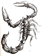 Scorpio Tattoo Designs are meant for the intriguing and the bold. scorpio tattoo designs scorpion
