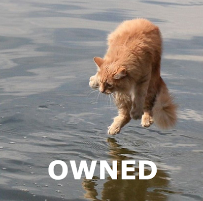 owned2.png