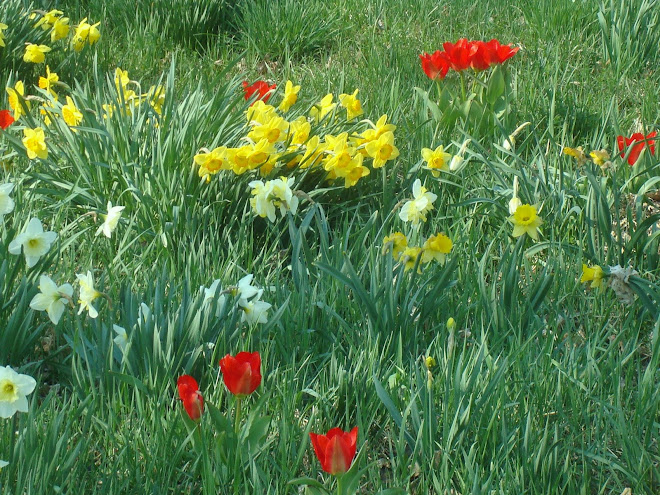 more spring in Vermont