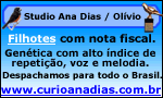 CURIÓ ANA DIAS / OLÍVIO