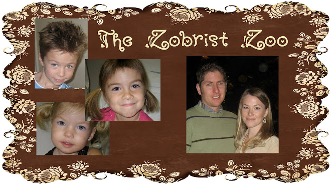 The Zobrist Zoo