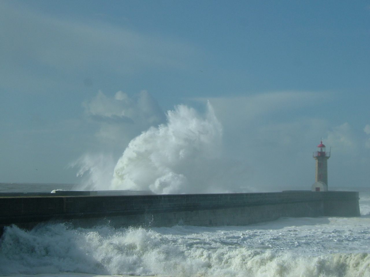 [PortoFevereiro09+081.jpg]