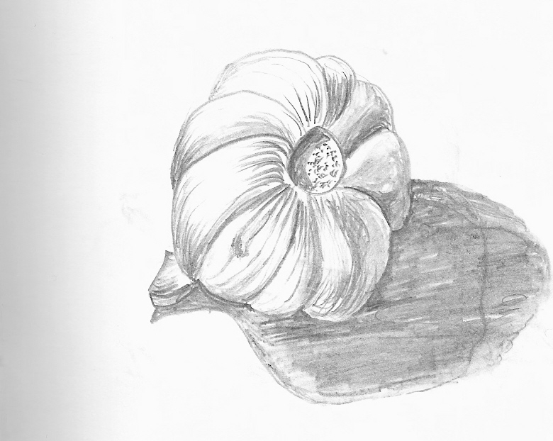 [cabeça+de+alho.jpg]