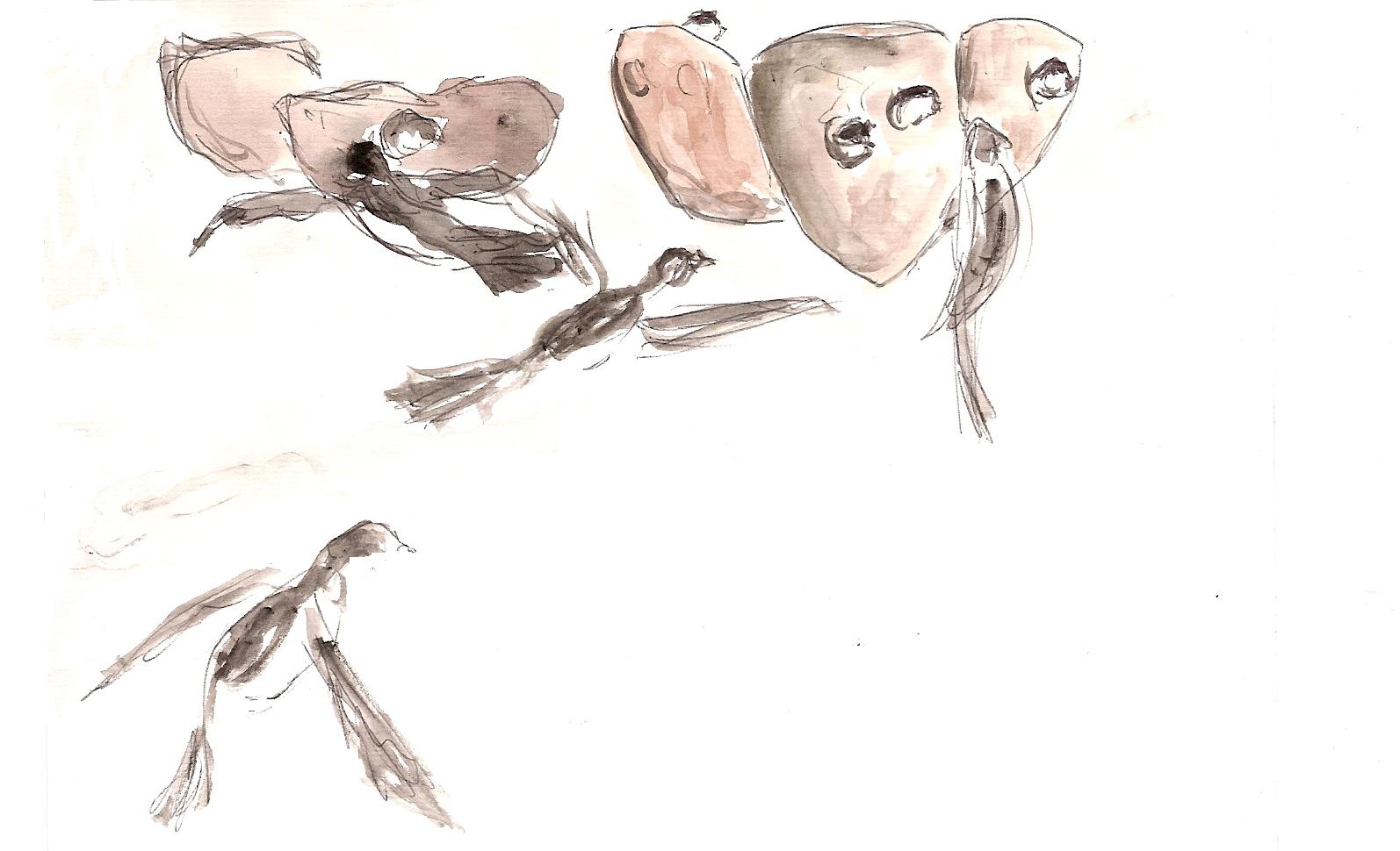 [andorinhas+7+09.jpg]