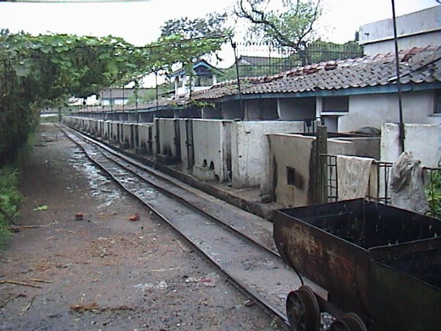 pig farm