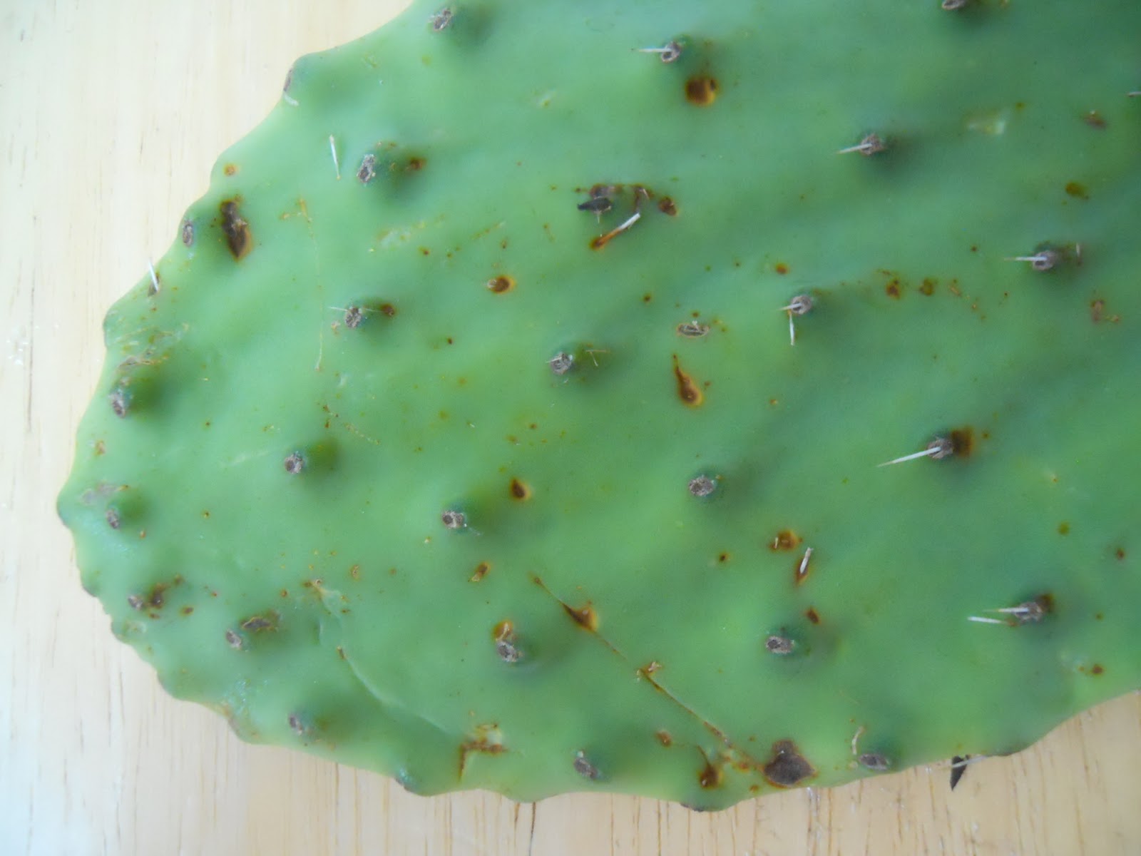 1 30 Ounce Jar Diced Nopales Cactus / 1 pound nopalitos, nopales