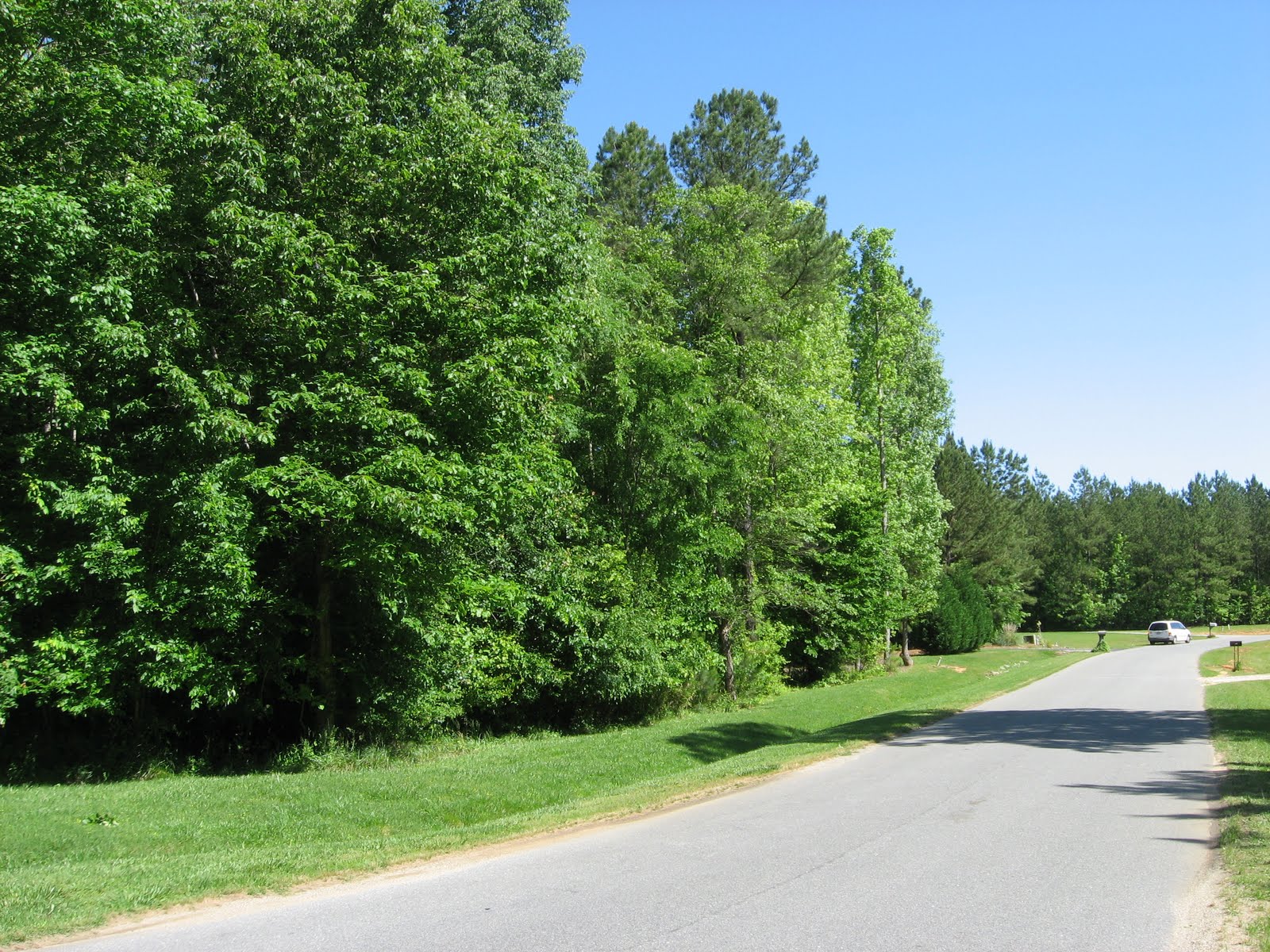 Clayton, North Carolina Real Estate Blog. Clayton NC Homes For Sale