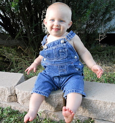 Eight Months Old!