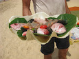 Caracola con frutos del mar