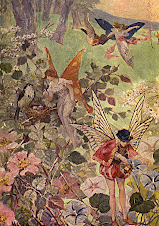 Garden Fairies love wildflowers!