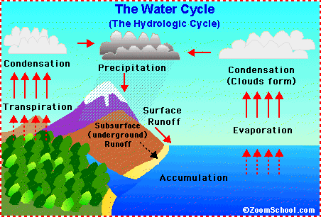 Yoonie~ Science: Water Cycle Diagram and Reading