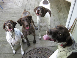 Me with my GSP friends