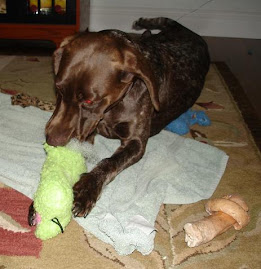 I love stuffed things!!