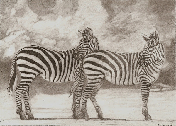 Serengeti Afternoon