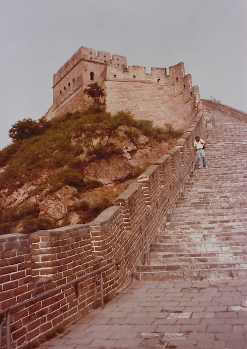 GREAT WALL CRAWLING