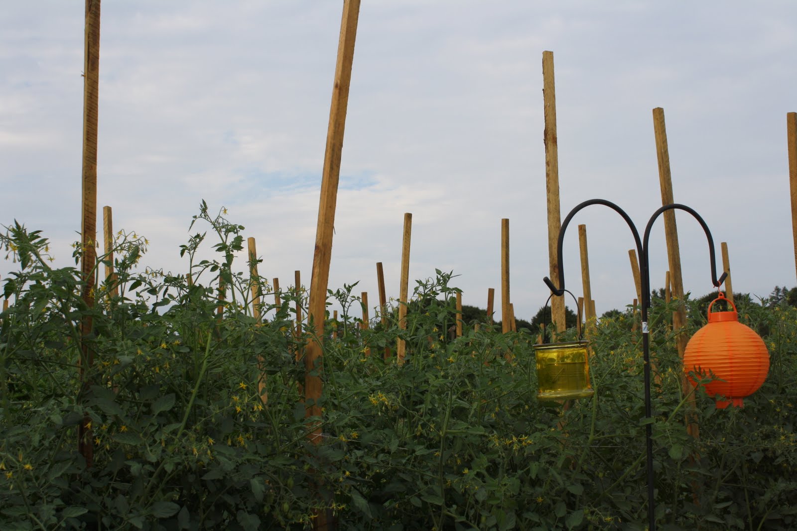 Cave Cibum Farm to Fork Dinner at Wilson Farm