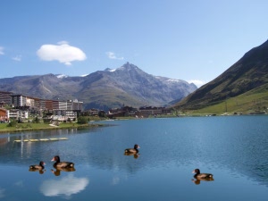 lago+con+patos.jpg
