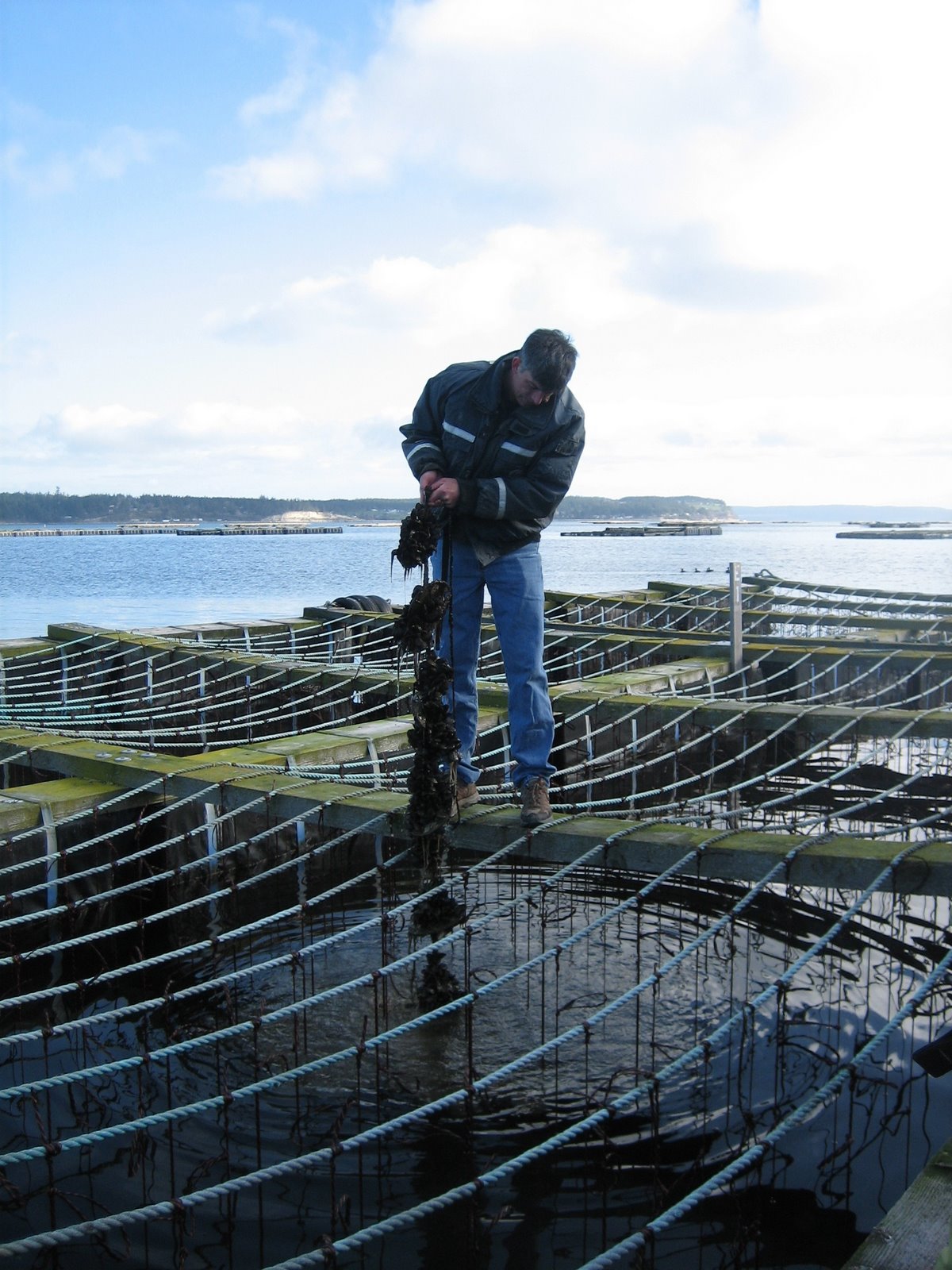 [mussel+tour+059.jpg]