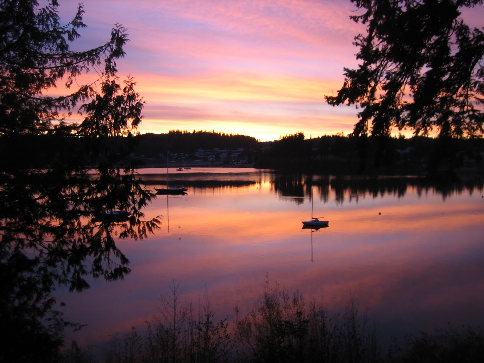 [december+sun+028.jpg]