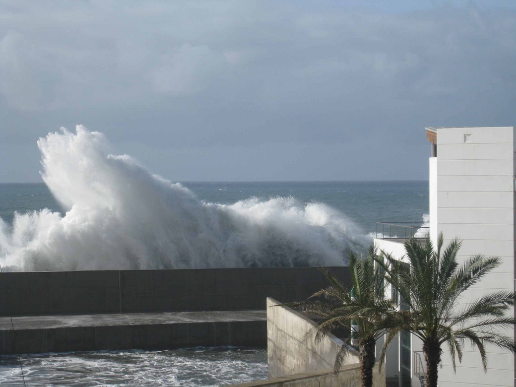 [4340997117_9f75d17f73_b.jpg]