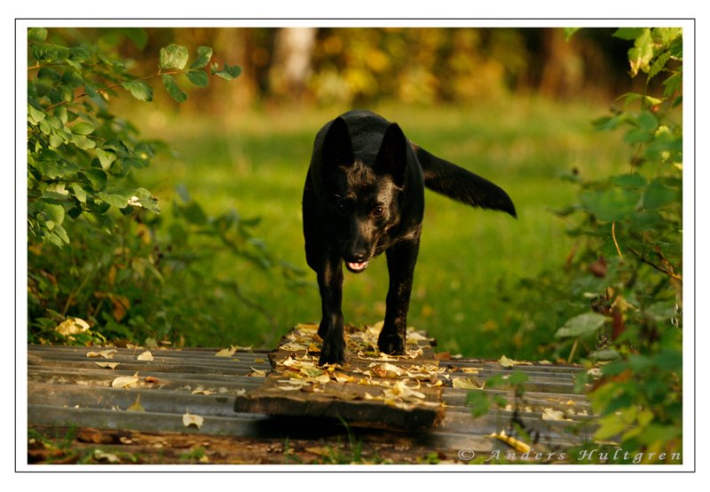 [081002_höstprom_ebba.jpg]