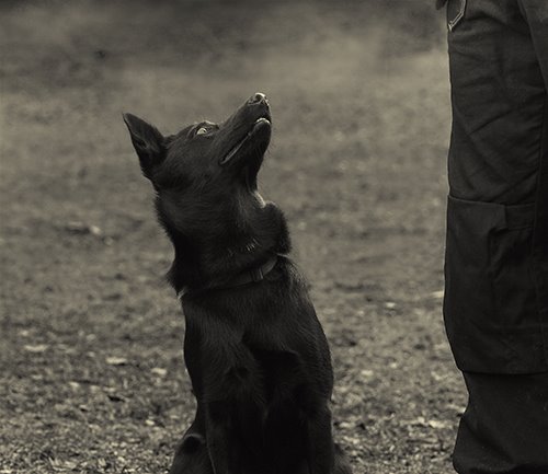 [081109_klubbtävling_0008.jpg]