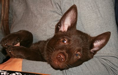 [081116_Yalla_0039.jpg]