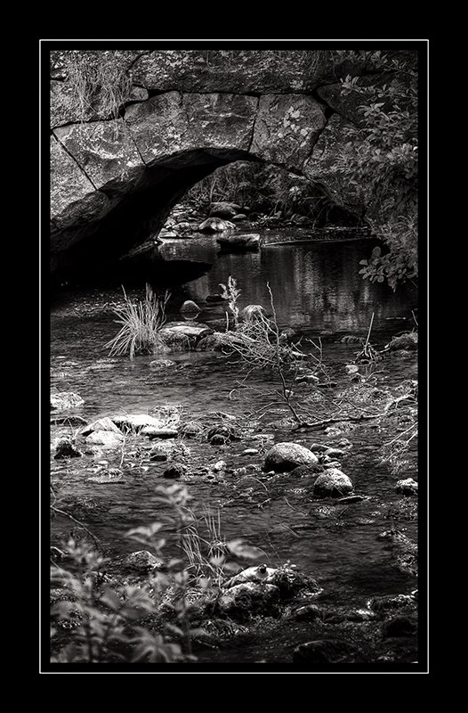 [090606_bäck-sv.jpg]