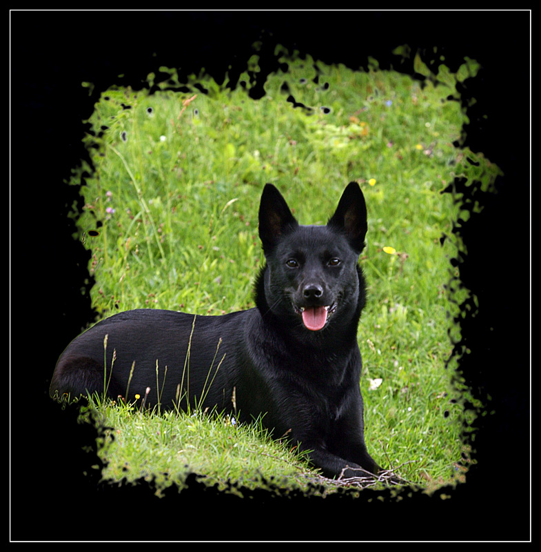 [090606_ebbajpg.jpg]