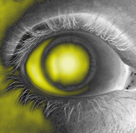 ojos-amarillos.jpg