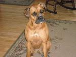 Royal Laila